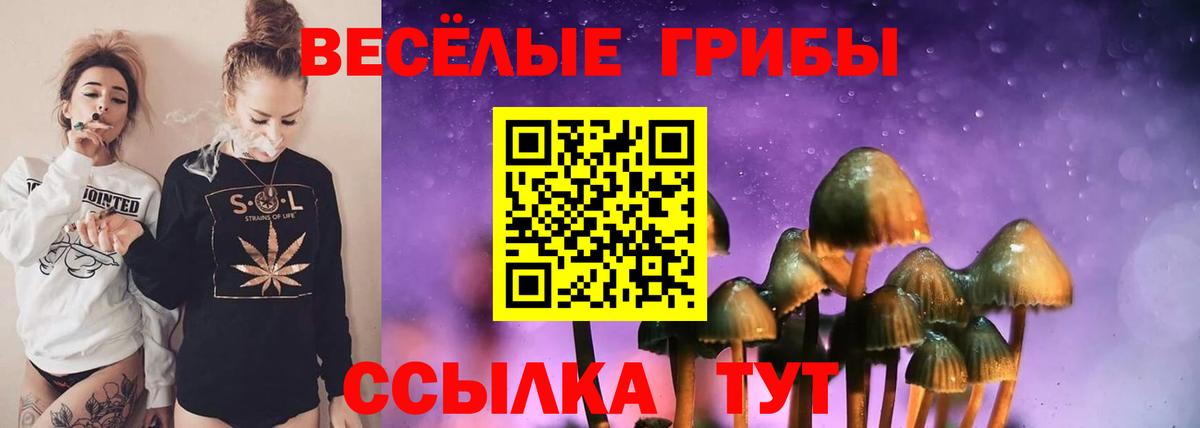 Галлюциногенные грибы Cubensis  Псилоцибиновые грибы GOLDEN TEACHER  Вход с VPN  наркота  Сатка 